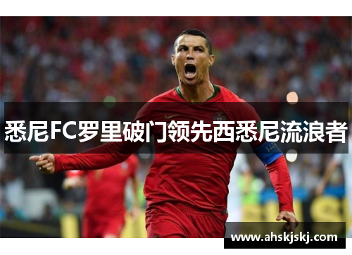 悉尼FC罗里破门领先西悉尼流浪者